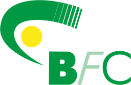 Handballverein BFC logo